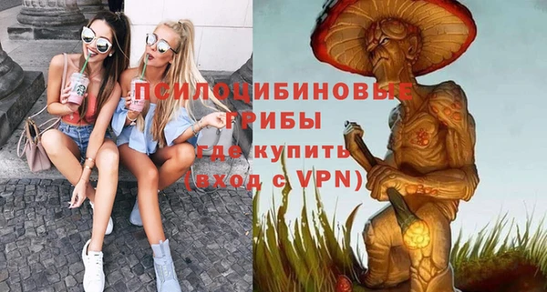 спиды Зеленокумск