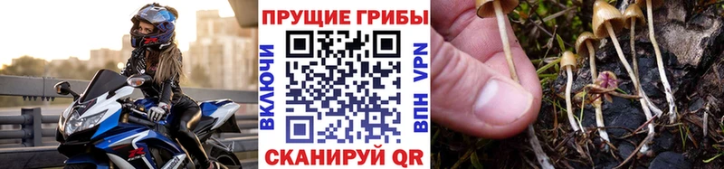 Псилоцибиновые грибы GOLDEN TEACHER  Купить  Константиновск 